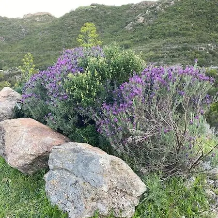 Pleine Campagne Jacuzzi 15 Mn Saint Florent Dom wakacyjny *