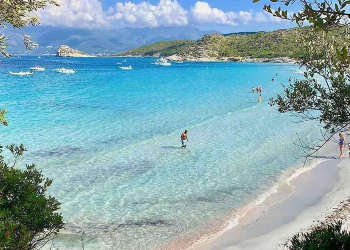 度假居 Pleine Campagne Jacuzzi 15 Mn Saint Florent Santo-Pietro-di-Tenda