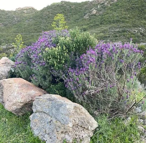 Pleine Campagne Jacuzzi 15 Mn Saint Florent 度假居 *